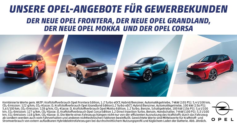 Opel Gewerbe Angebote