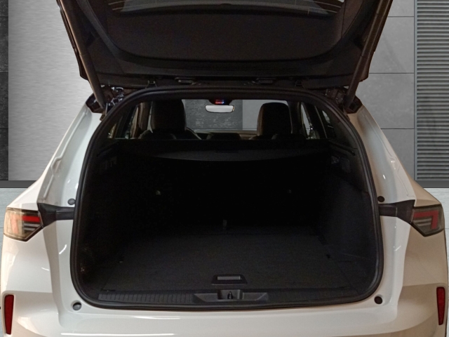 Fahrzeugansicht Opel Astra ST 1.2T GS Line HUD El. Panodach Navi 360 Kamera LED Blendfreies Fernl. - Bild 5