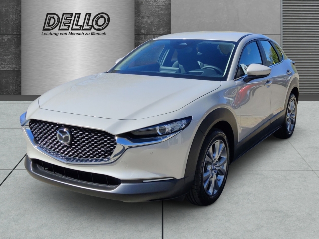 Mazda CX-30 Centre-Line Driver Assistance & Sound HUD Navi Soundsystem Bose 360 Kamera LED