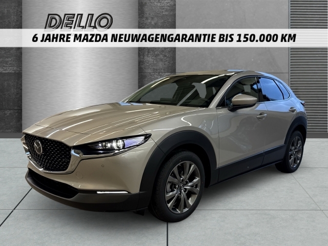 Fahrzeugansicht Mazda CX-30 2.5 Exclusive-Line HUD Navi Soundsystem Bose LED ACC El. Heckklappe 360 Kamera