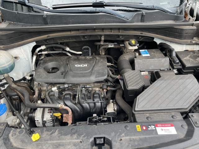 Fahrzeugansicht Kia Sportage Edition 7 1.6 Temp Tel.-Vorb. Berganfahrass. Klima - Bild 14