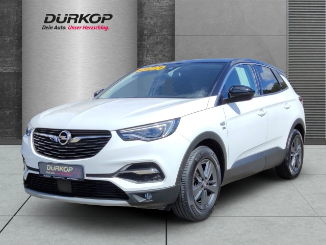 Opel Grandland X Turbo EU6d Opel 2020  Heckkamera