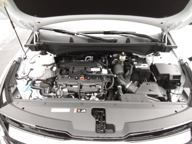 Fahrzeugansicht Kia Sportage GT-line 1.6T Allrad Vollausstattung HUD El. Panodach Navi digitales Cockpit Memory Sitze - Bild 14