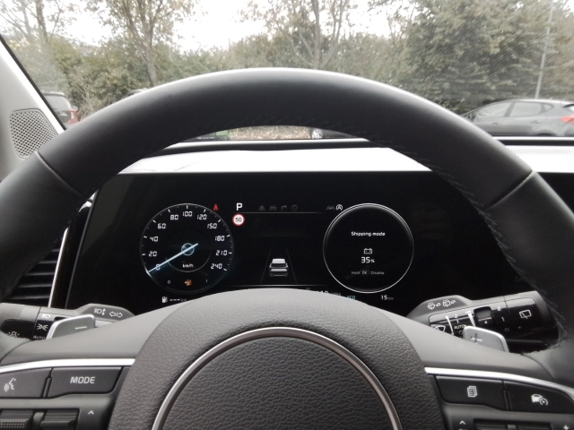 Fahrzeugansicht Kia Sportage 1.6 CRDi Spirit Allrad Mild Hybrid Panorama Leder Navi digitales Cockpit Soundsystem - Bild 12